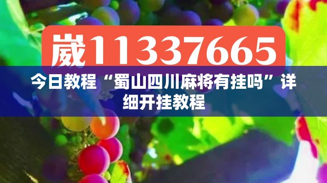 今日教程“蜀山四川麻将有挂吗”详细开挂教程