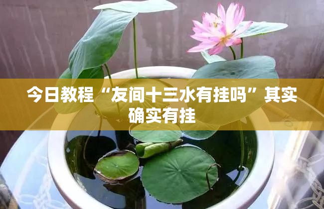 今日教程“友间十三水有挂吗”其实确实有挂