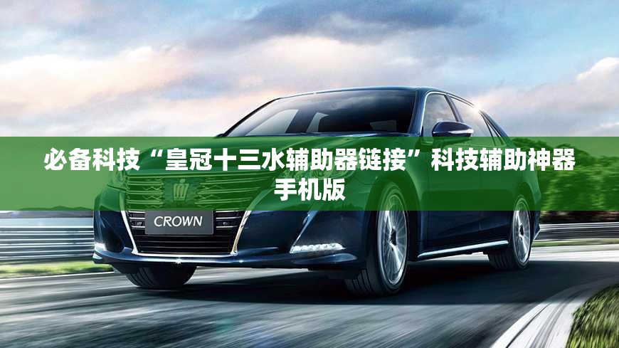 必备科技“皇冠十三水辅助器链接”科技辅助神器手机版