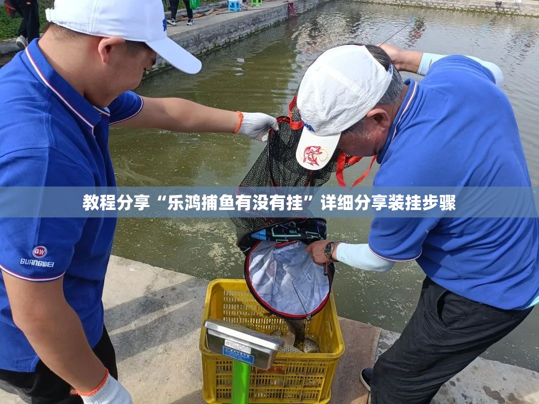 教程分享“乐鸿捕鱼有没有挂”详细分享装挂步骤