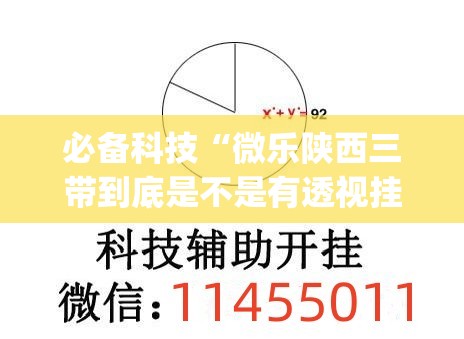 必备科技“微乐陕西三带到底是不是有透视挂”(免费)开挂辅助教学(最新辅助开挂教程)