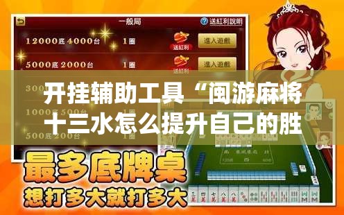 开挂辅助工具“闽游麻将十三水怎么提升自己的胜率”开挂(透视)辅助神器