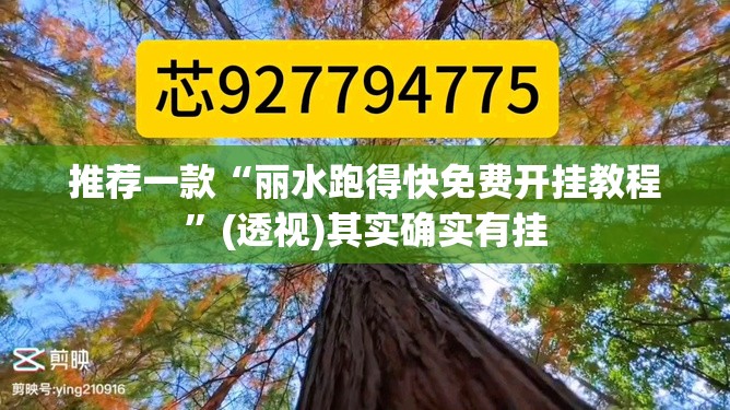 推荐一款“丽水跑得快免费开挂教程”(透视)其实确实有挂