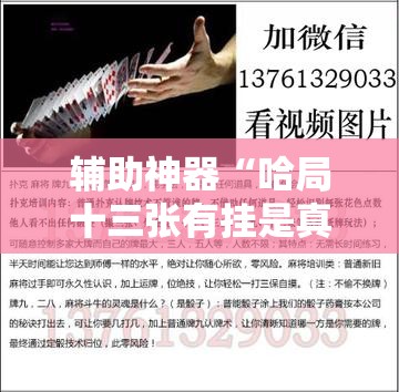 辅助神器“哈局十三张有挂是真是假”详细开挂教程