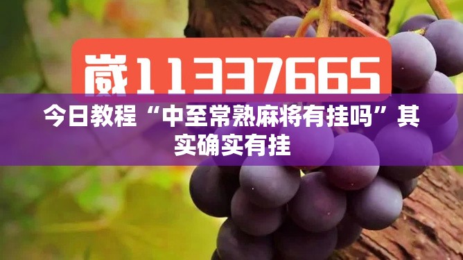 今日教程“中至常熟麻将有挂吗	”其实确实有挂