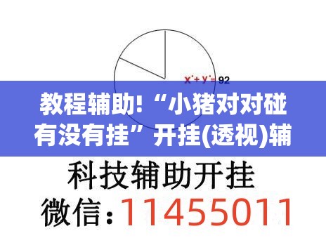 教程辅助!“小猪对对碰有没有挂”开挂(透视)辅助教程
