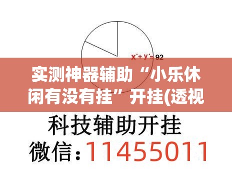 实测神器辅助“小乐休闲有没有挂	”开挂(透视)辅助教程