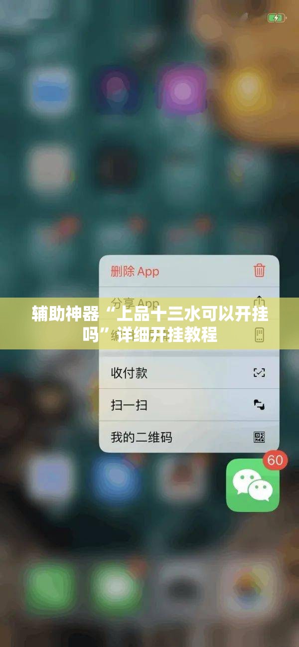 辅助神器“上品十三水可以开挂吗”详细开挂教程