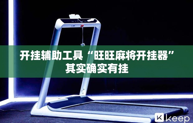开挂辅助工具“旺旺麻将开挂器”其实确实有挂