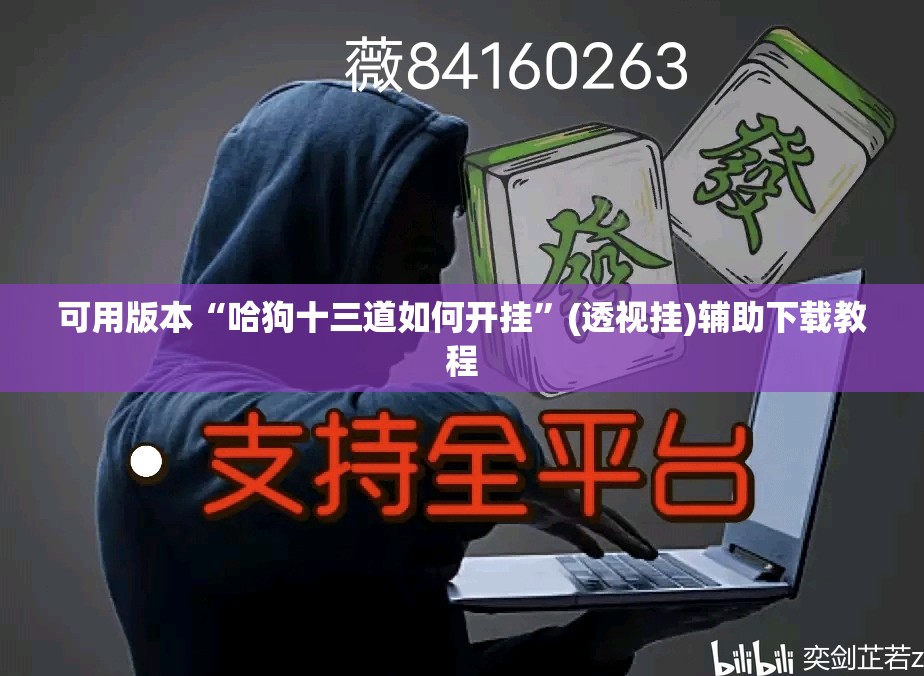 可用版本“哈狗十三道如何开挂”(透视挂)辅助下载教程