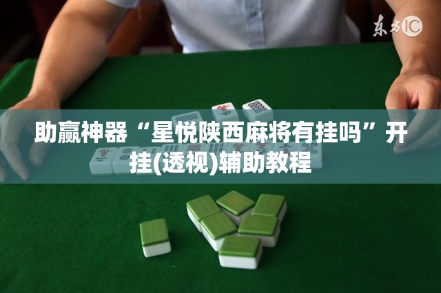 助赢神器“星悦陕西麻将有挂吗”开挂(透视)辅助教程
