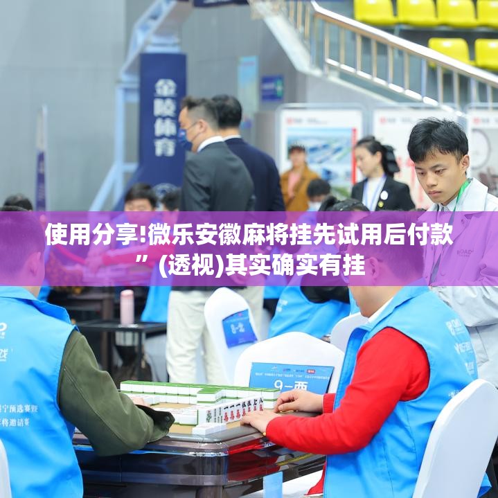 使用分享!微乐安徽麻将挂先试用后付款	”(透视)其实确实有挂